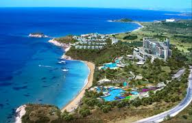 images?q=tbn:ANd9GcTkbzpVpw51QlyPwbkoxHH