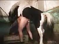 Girl horse anal sex zootube zoofilia vids jpg x Girl has sex with horse