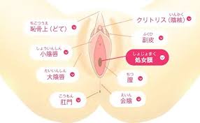 処女膜　無修正|処女膜付きまんこです。おめこです。 - 真性クリトリス包茎 マンコ オメコ 大人のおもちゃ