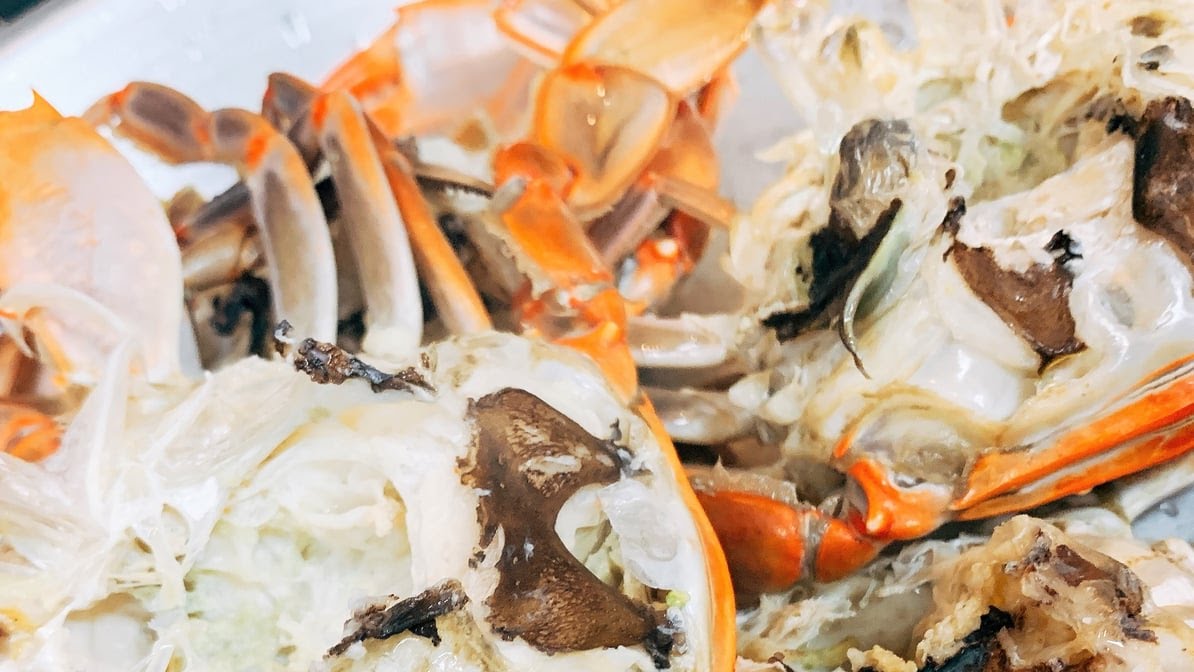 Juicy Seafood by null