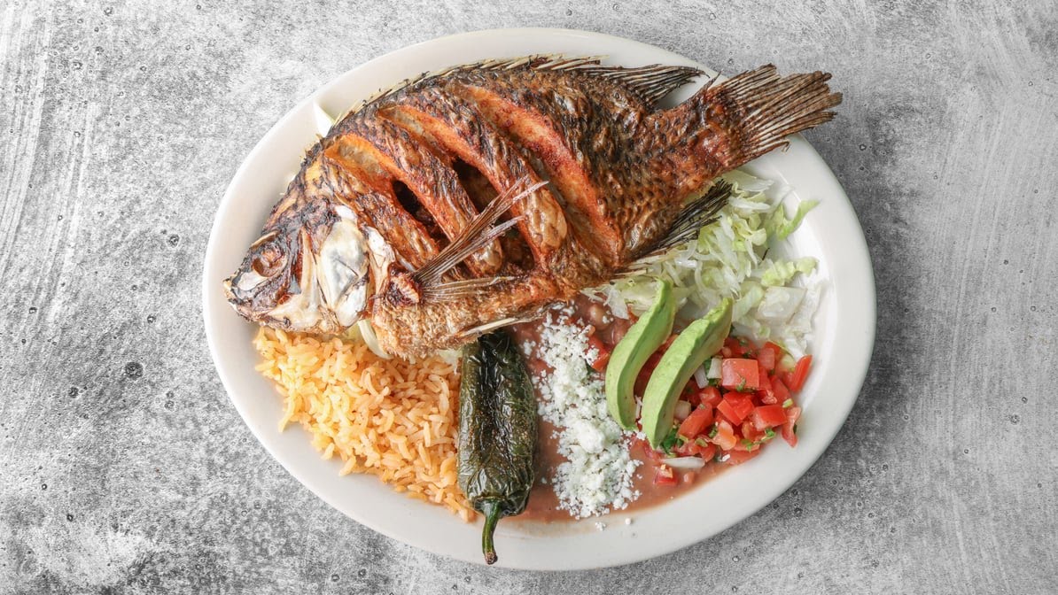 Taqueria Flores by null