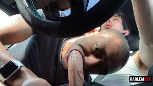 Nicole sweet loves to fuck in the car jpg x Fucking in the car