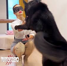 Blowjob dogs zoo porn with horny teen thumbnail jpg x Woman and dog sex