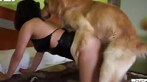 Woman and dog sex jpg x Woman and dog sex