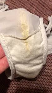 Moms dirty panties porn videos jpg x Moms dirty panties