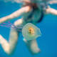 Bizarre photo of a fish in a jellyfish 