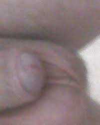 Incredible hermaphrodite fuck jpg x Real hermaphrodite