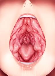 Wet vagina lips big jpg x Vagina mouth