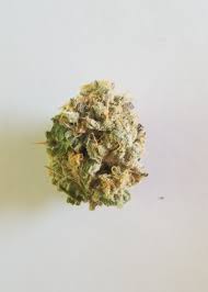 viphentaiclub 3d real|Celá izba, , Bratislava