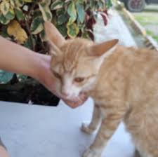 cindy18|Cindy (18) by Cphotos703 on DeviantArt