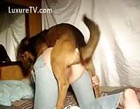 Conversion ea a acce jpg x Girl fucked by dog