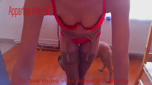 Maybe best ever homemade dog fuck a horny slut luxuretv jpg x Homemade dog sex