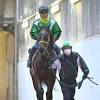 【日経新春杯】６歳馬マイネルウィルトス 勝負の年、タイトル奪取 ...