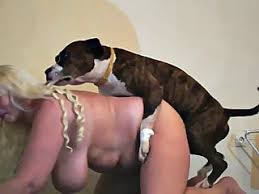 Dog sex with women villa banks porn jpg x Woman and dog sex