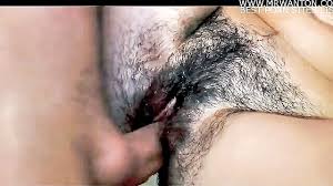 Seasonal holidays jpg x Free hairy bush videos