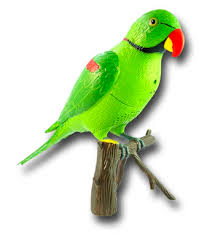 images