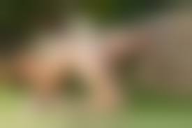 porn tonkato|Comic アンスリウム 032 2015年12月号