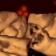 Can Fetuses Recognise Faces When They're Still In The Womb? 