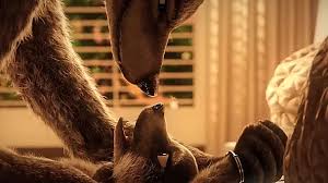 Animal sex me new bestiality zoo porn clips jpg x Animal sex videos