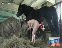 Sexy farm girl fucked the tractor salome valentina blue jpg x Farm girl gets fucked