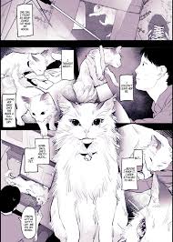 Neko hentai manga multporn jpg x Neko hentai