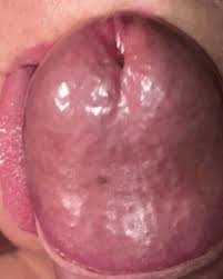 Compilation of big cocks shooting loads of cum after a good jerking off session jpg x Big cocks shooting cum