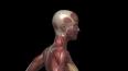 Bilgisayar Donanımı: Sistemin Omurgası ile ilgili video