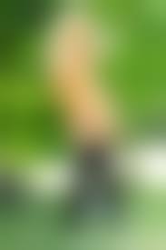 wife naked outdoor blond|The Blonde Babe Sabina Taylor Is Naked Outdoor Showing The Delicious  Stretched Holes / DefineBabe.com