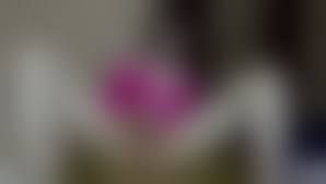 femout shemale|Femout Femout Model Swallowsquirt Tranny Starring xxx porn pics