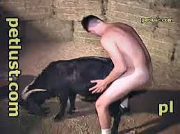 Man fucks horse and makes sure to cum hard jpg x Guy fucks horse