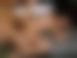 porno sabitova2017|Skinny Japanese Porn - 58 photos