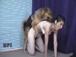 The girl fucking pet dog porn zoofilia porn animal porn tube site jpg x Girl fucked by dog