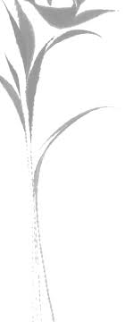 jung ryeo won nude fake |Edit of Hera and Jihyewon in KDrama - Colorful and Fun! | TikTok