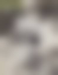 ella and david incest 11|Spencer Grammer(@spencergrammer) • Instagram写真と動画