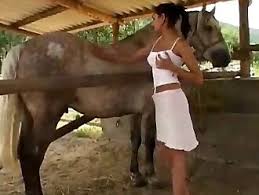 Horse porn free bestiality jpg x Girl sex with horse