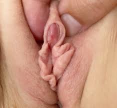 Clit licking venus afrodita porn star videos jpg x Lick my clit