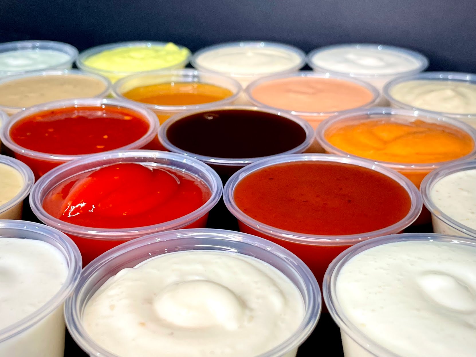 European Republic by null