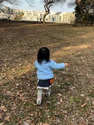 女児　おしっこ|きゃんでぃ】おねしょパンツ【150cm】【160cc】ネイビーボーダー・グレーボーダー/綿100%/夜尿症/女の子用【メール便対応/1枚まで】 |  おひさま生活館