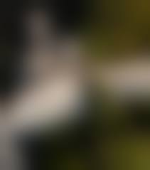  3d hentai incest porn|Houkago Initiation 2 Incest Anime | WatchAnime.video