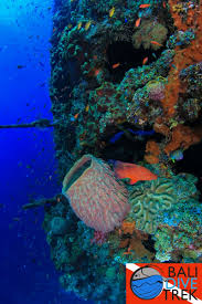 3d hentai wayfarer|Yakuza Reincarnation: Yakuza Princess of Another World - Read Hentai Manga,  Hentai comics, E hentai, 3D Hentai, Hentai Anime online