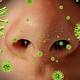 Stopping the flu's spread starts in nose 