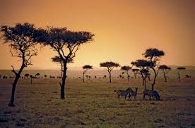 Main Hunting Area