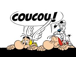 Afficher l'image en taille relle