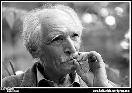 محمود دولت آبادي