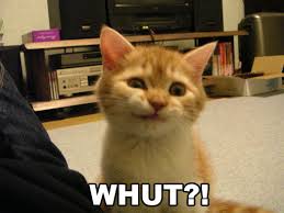 whut-ian.jpg&t=1