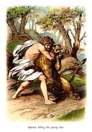 تفسير الكتاب المقدس لابونا داود لمعى