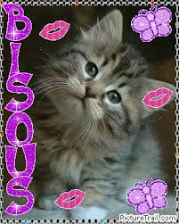 Afficher l'image en taille relle