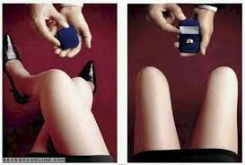 Afficher l'image en taille relle