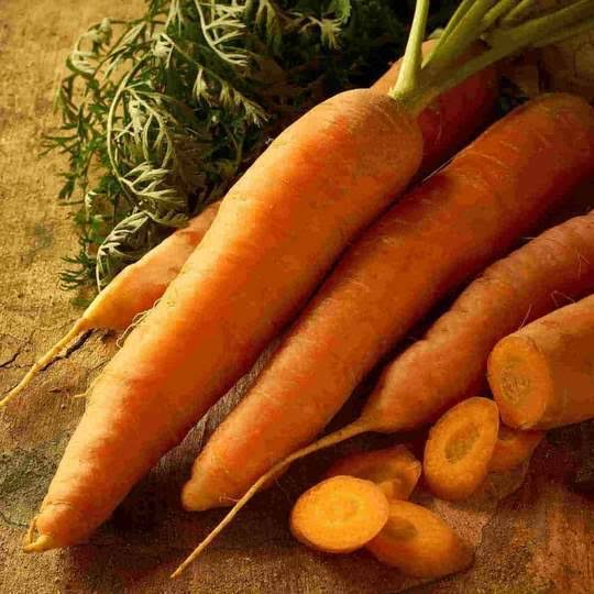 Carrot Scarlet Coreless - McKenzie Seeds
