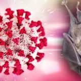 What is Khosta-2? 'Vaccine Resistant' New Covid-like Virus That Could Infect Humans 